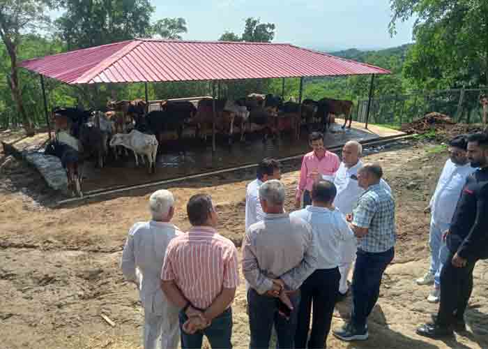कृषि मंत्री ने थानाखास में गोकुल ग्राम और गौ अभ्यारण्य का किया निरीक्षण