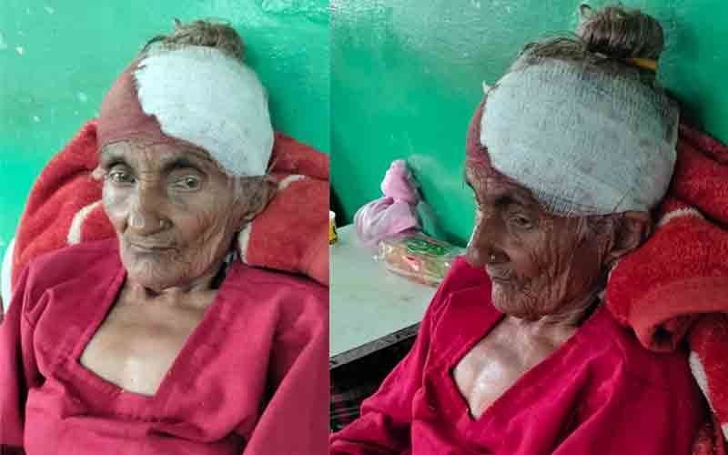 सिरमौर जिला के इस गांव में घर में घुसा भालू, बुजुर्ग महिला बुरी तरह जख्मी