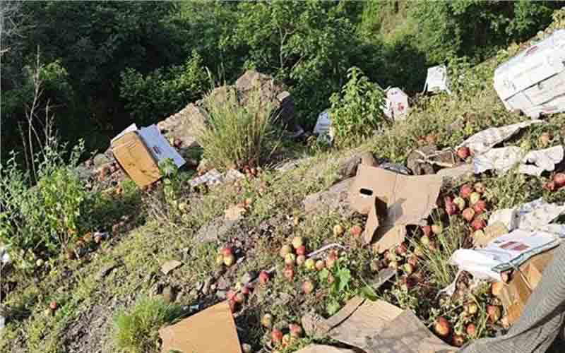 अनियंत्रित होकर सड़क से लुढ़का सेब से लदा कैंटर, चालक की मौत