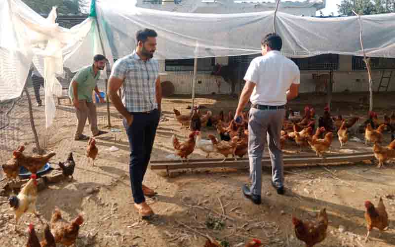 उपायुक्त ऊना जतिन लाल ने किया बहडाला कड़कनाथ पोल्ट्री फार्म का दौरा