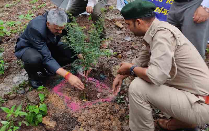 जिला एवं सत्र न्यायाधीश ने पौधरोपण कर दिया पर्यावरण संरक्षण का संदेश