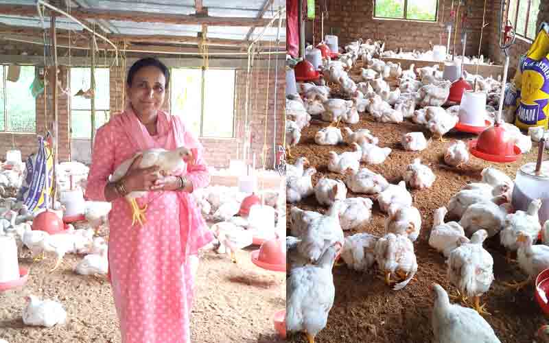 दुगराईं गांव की हेमा कुमारी ने चुना स्वरोजगार व आत्मनिर्भरता का रास्ता