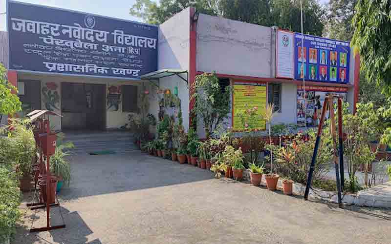 जेएनवी पेखूबेला में छठी कक्षा में प्रवेश के लिए इस दिन तक करें ऑनलाइन आवेदन…