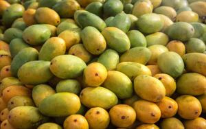 MANGO.jpg