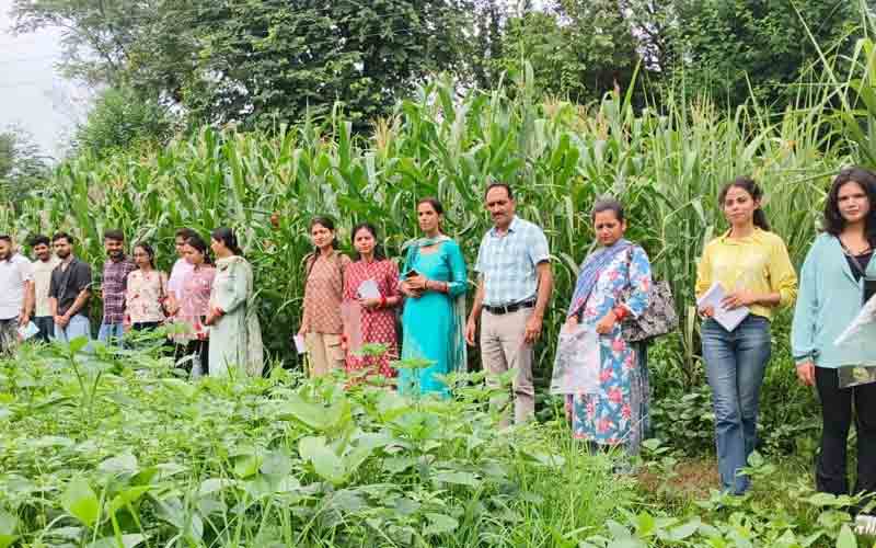 तीन दिवसीय “एकीकृत कीट प्रबंधन” पर प्रशिक्षण कार्यक्रम संपन्न