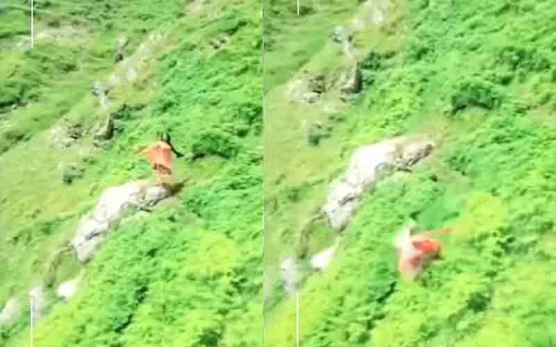 चंबा में रील बनाते युवती का खाई में गिरने का मामला