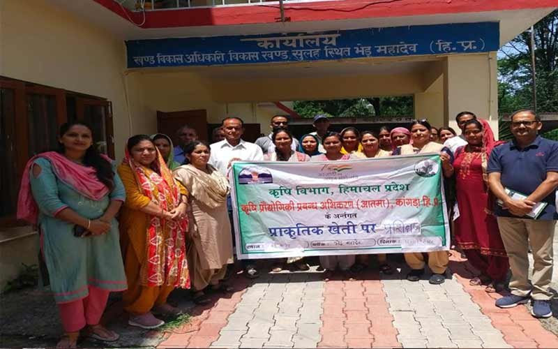 कांगड़ा में प्राकृतिक खेती को बढ़ावा : किसानों को शिविर में दी गई जानकारी