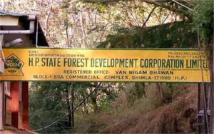 FOREST-DEPARTMENT-1.jpg