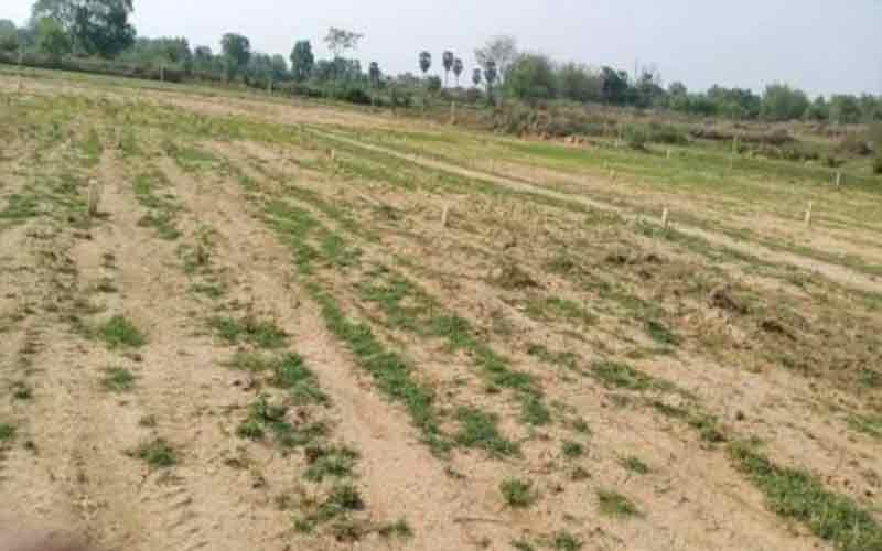 हमीरपुर : 96 वर्षीय बुजुर्ग महिला को 25 साल बाद भी नहीं मिली जमीन