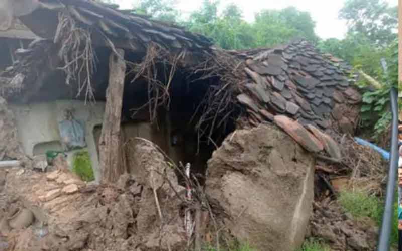 तूफान और बारिश का कहर : कच्चा मकान और 2 गौशालाएं ध्वस्त, पशु घायल