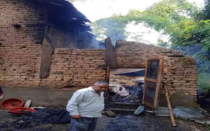 कांगड़ा में गोशाला में भीषण आग, गाय और बछड़ी जलकर मरी