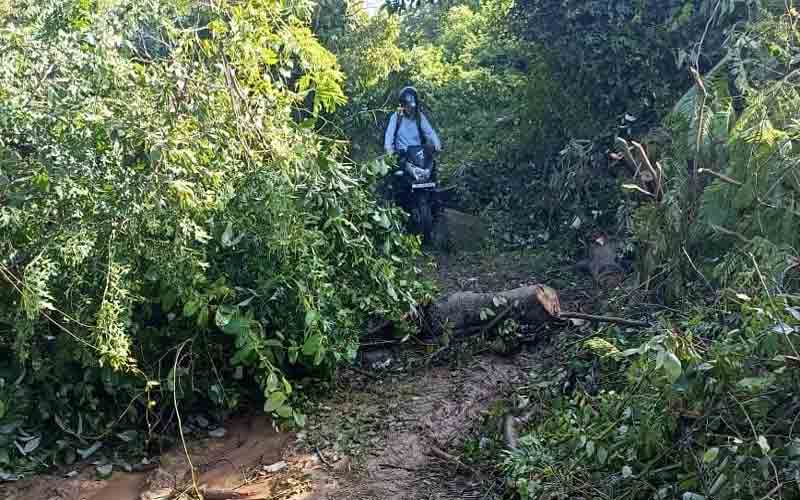 पूर्व प्रधान बाबूराम बोले विधायक की प्राथमिकता में है बाई पास के लिए पक्की सड़क का निर्माण