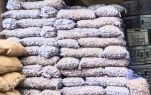 Garlic-seed-prices-doubled.jpg