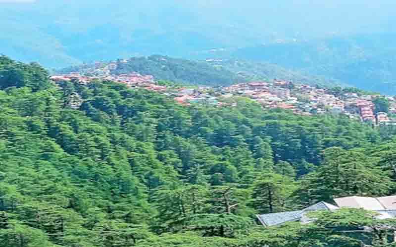 हिमालय में जलवायु परिवर्तन का बड़ा असर : पेड़ों की कई प्रजातियां हुई विलुप्त