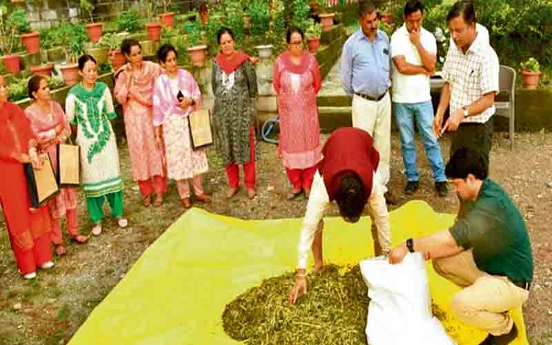 शिमला : एचएफआरआई की पहल से सर्दियों में नहीं होगी पौष्टिक चारे की कमी