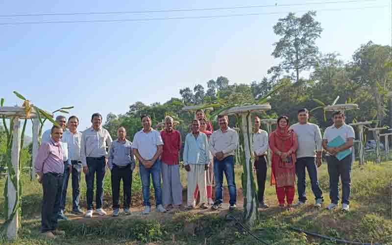 जल शक्ति मंत्रालय की टीम ने पीपली में ड्रैगन फल के बगीचे का किया दौरा