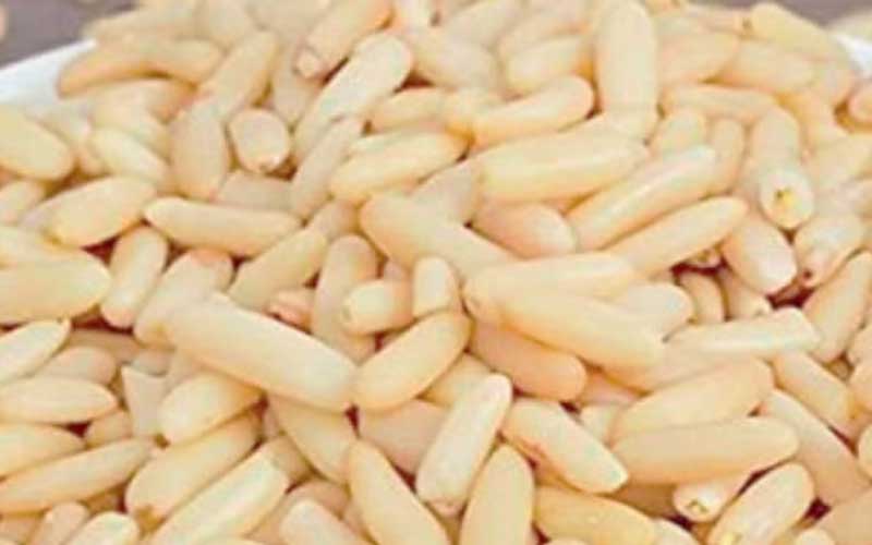 किन्नौर के चिलगोजे की मांग बढ़ी, दाम 2200 रुपये प्रति किलो तक पहुंचा