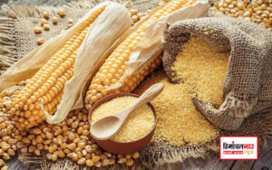 himbhog-organic-corn-flour latest himachal news