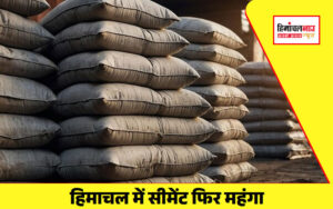 latest himachal news cement price hike