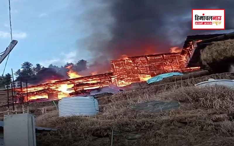 तांदी गांव में भीषण आग, चार मकान और देवता का भंडार जलकर राख