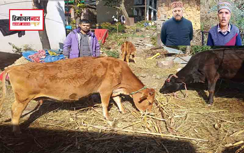 गोबर समृद्धि योजना : किसानों और पशुपालकों को मिला आर्थिक सहारा