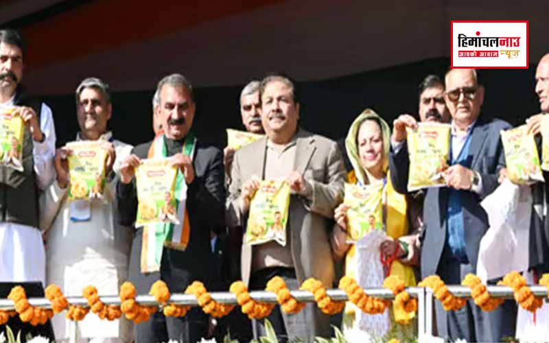 HIM MAKKI AATA / डिपुओं में हाथों-हाथ बिक रहा है ‘हिम मक्की आटा’