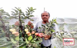 हिमाचल न्यूज़ | लेटेस्ट हिमाचल न्यूज़