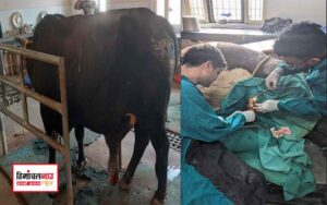 हिमाचल न्यूज़ | लेटेस्ट हिमाचल न्यूज़