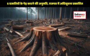 himachal news