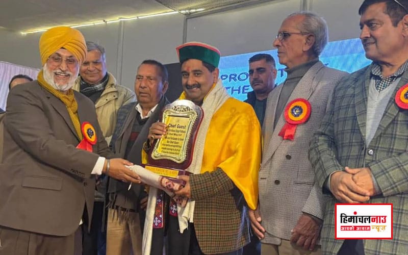 हिमाचल न्यूज़