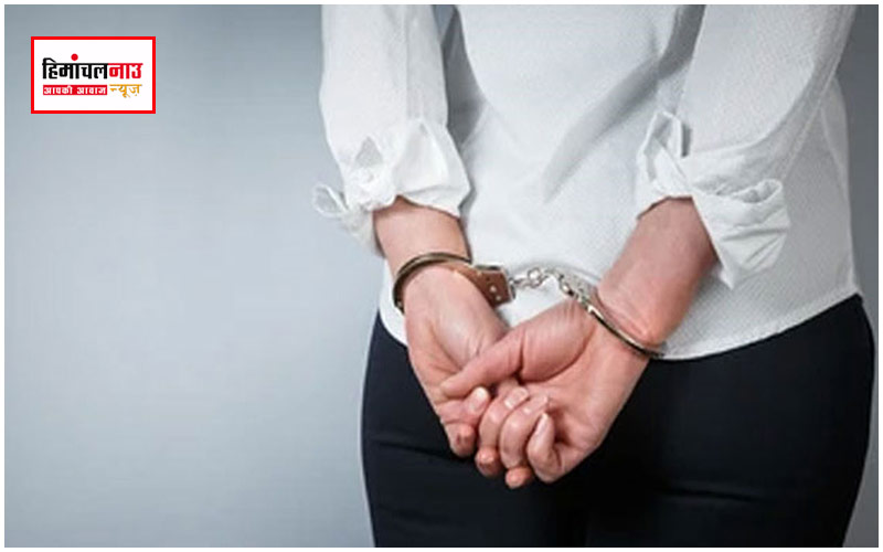 हिमाचल न्यूज़ | लेटेस्ट हिमाचल न्यूज़