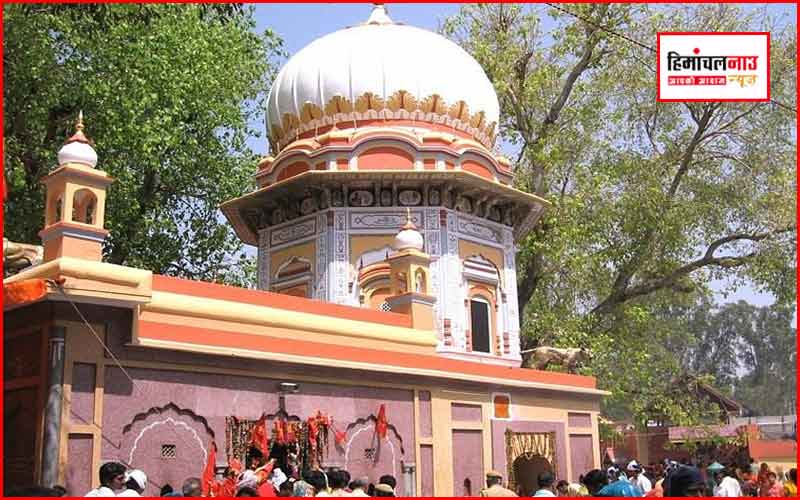 हिमाचल न्यूज़ | लेटेस्ट हिमाचल न्यूज़