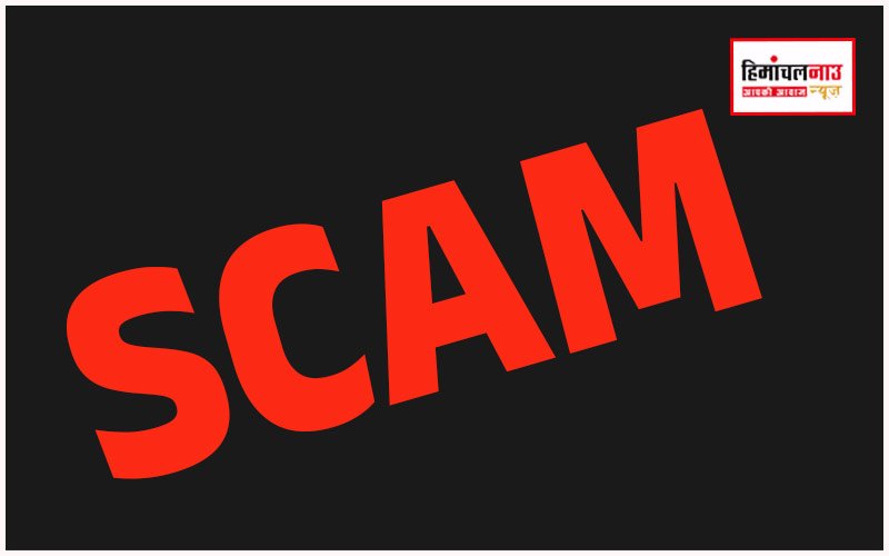 हिमाचल में ‘चमत्कारी खच्चर’ घोटाला : पंचायत में करोड़ों की हेराफेरी उजागर