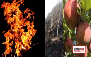 हिमाचल न्यूज़ | लेटेस्ट हिमाचल न्यूज़