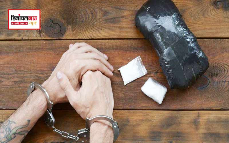 हिमाचल न्यूज़ | लेटेस्ट हिमाचल न्यूज़