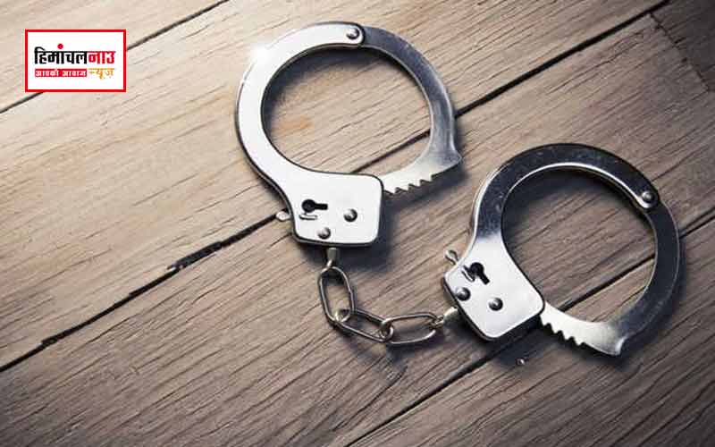 हिमाचल न्यूज़ | लेटेस्ट हिमाचल न्यूज़