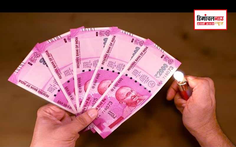 हिमाचल न्यूज़ | लेटेस्ट हिमाचल न्यूज़