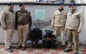 हिमाचल न्यूज़ | लेटेस्ट हिमाचल न्यूज़