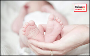 हिमाचल न्यूज़ | लेटेस्ट हिमाचल न्यूज़