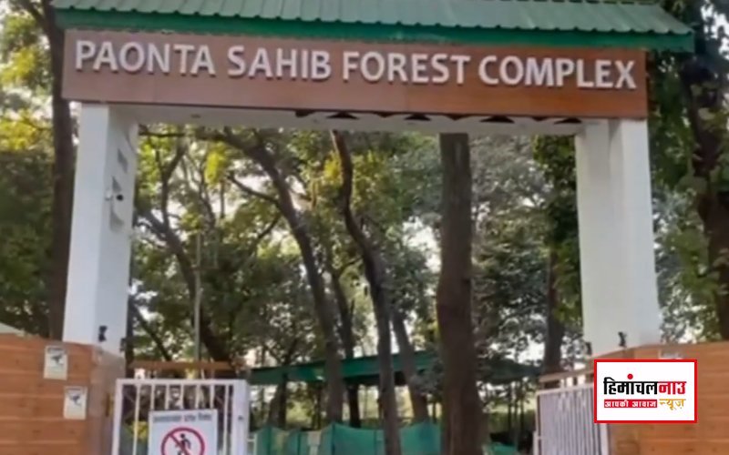 सिरमौर / जंगली हाथियों को रोकने के लिए वन विभाग अपनाएगा मधुमक्खी पालन तकनीक