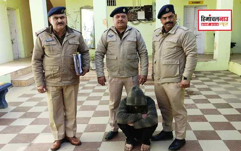 हिमाचल न्यूज़ | लेटेस्ट हिमाचल न्यूज़