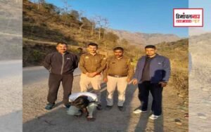 हिमाचल न्यूज़ | लेटेस्ट हिमाचल न्यूज़