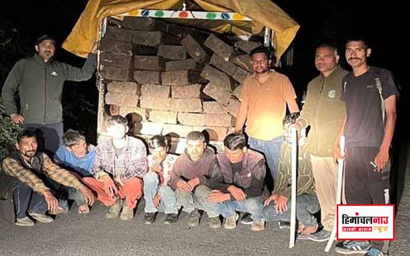 कुल्लू में वन विभाग की बड़ी कार्रवाई , देवदार के 37 स्लीपरों के साथ 7 लोग गिरफ्तार