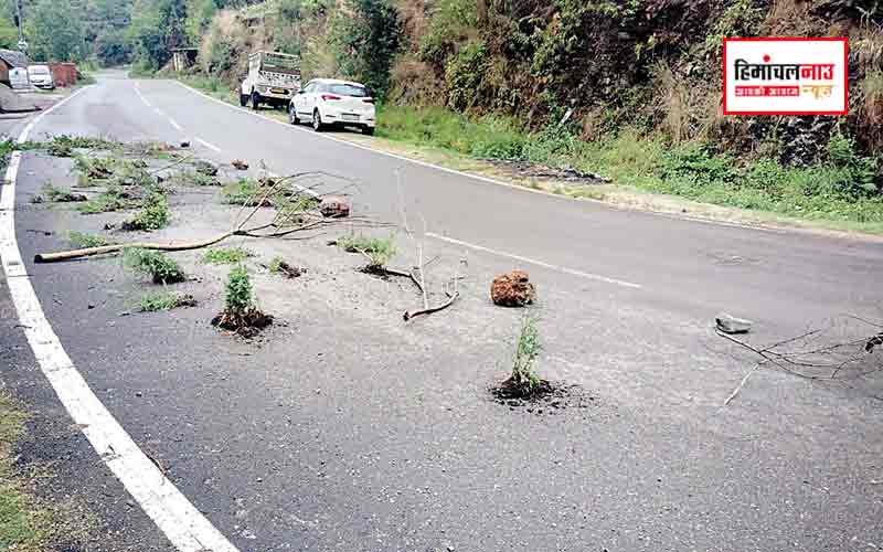 शिमला-मटौर हाईवे पर मंगरोट में भूमि विवाद फिर उफान पर , व्यक्ति ने रास्ता वन-वे कर वाहनों की आवाजाही रोकी