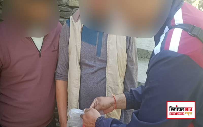 किन्नौर के मुरंग गांव में एसआईयू ने पकड़ी 84 ग्राम चरस, NDPS एक्ट के तहत मामला दर्ज