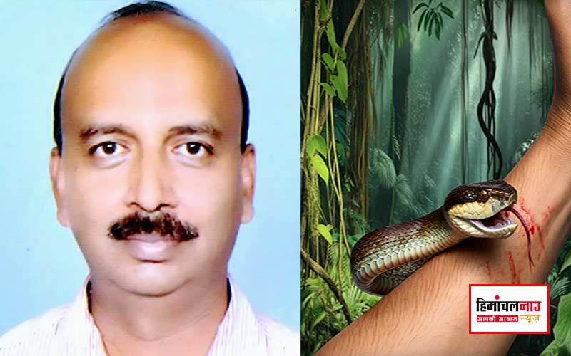 सिरमौर के सभी अस्पतालों और स्वास्थ्य केंद्रों में पहुंची स्नेक एंटी वेनम, सीएमओ ने दी जानकारी