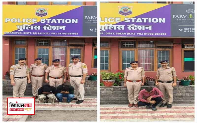 सोलन में गश्त के दौरान पकड़ी गई अल्टो कार से 11 ग्राम चिट्टा , दो आरोपी गिरफ्तार