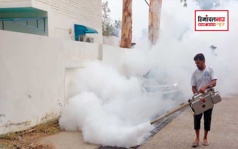 ऊना नगर निगम ने मच्छरजनित रोगों के खिलाफ फॉगिंग अभियान को बनाया सघन और तेज , सभी वार्डों में चरणबद्ध कार्रवाई