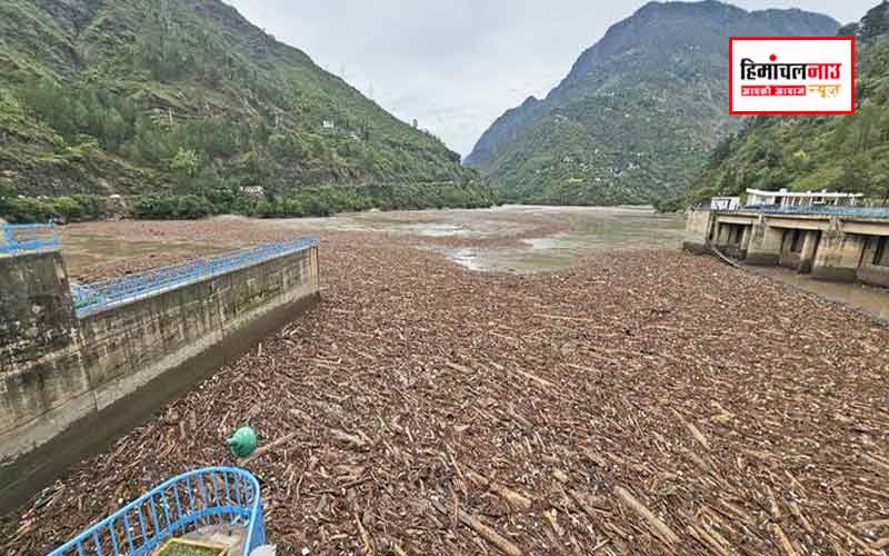Pandoh Dam Wood / बादल फटने के बाद पंडोह डैम में लकड़ी जमा होने की जांच करेगी सीआईडी , मुख्यमंत्री ने दिए आदेश