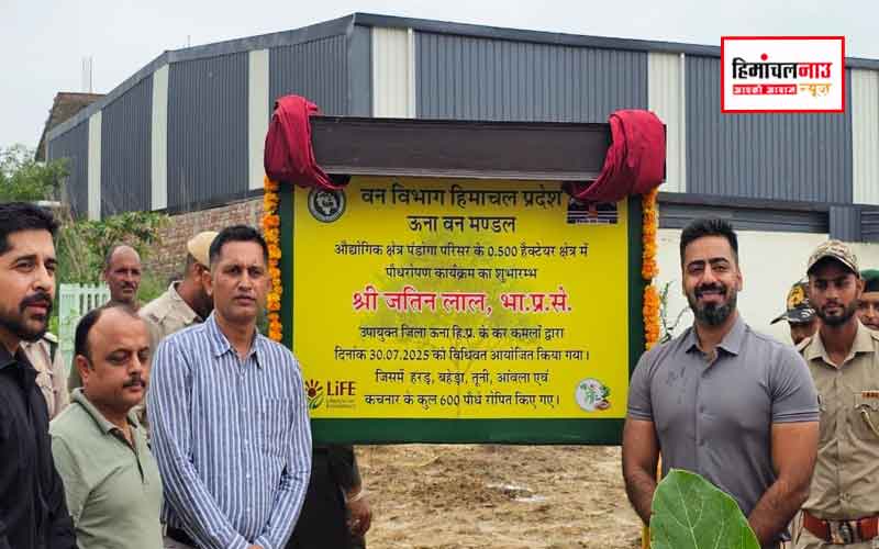 औद्योगिक क्षेत्र पंडोगा में उपायुक्त ने किया पौधारोपण, पर्यावरण संरक्षण का संदेश दिया